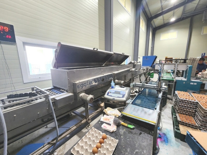 기계기구 1-1(선별/세척/펙카시스템)