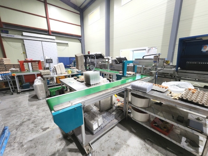 기계기구 2(자동포장라인)