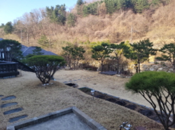 목록3 제시외 정원수2