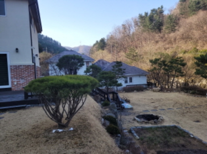 목록3 제시외 정원수3