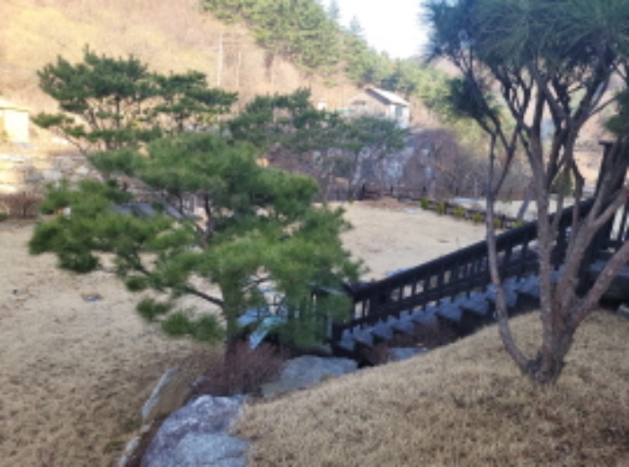 목록3 제시외 정원수4