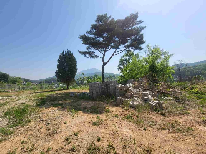 제시 목록 6 부동산(수목, 석재 등)