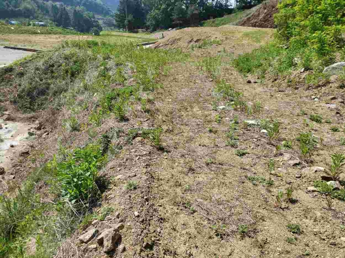 제시 목록 5 부동산