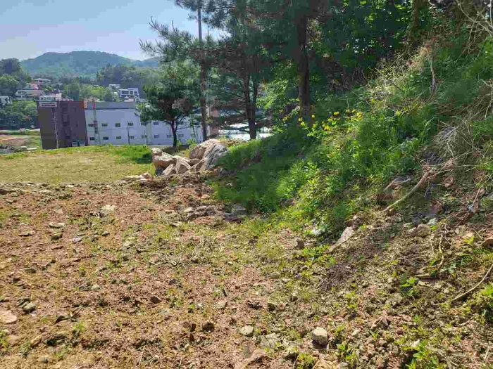 제시 목록 14 부동산(일부 임야 등))