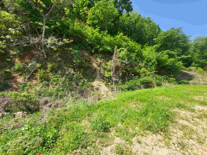 제시 목록 2 부동산