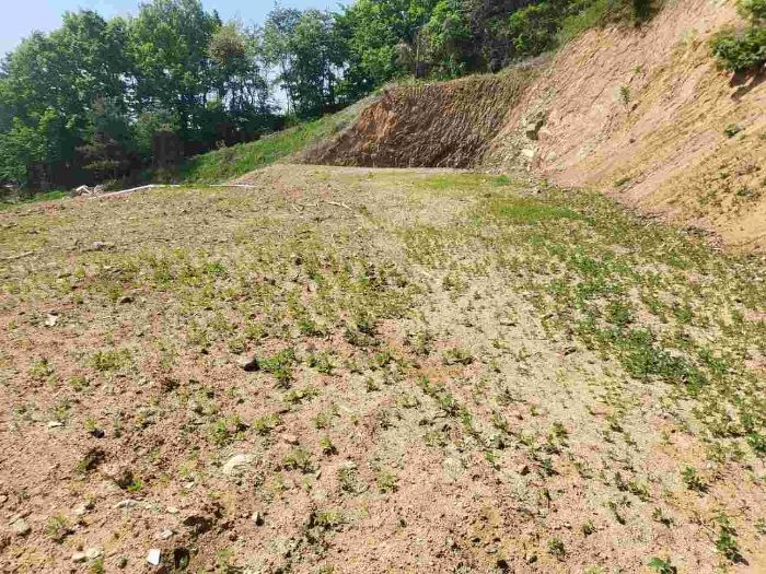 제시 목록 7 부동산