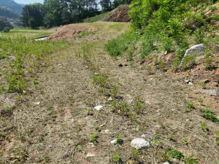 제시 목록 5 부동산