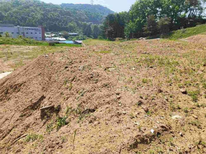 제시 목록 7 부동산