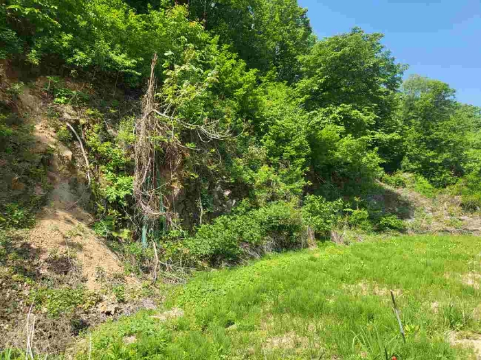 제시 목록 2 부동산