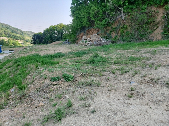 기호3 토지 (북측에서 촬영)