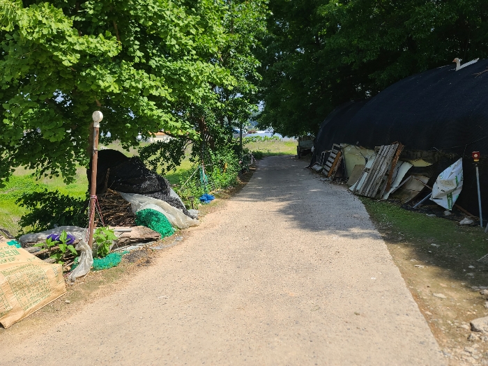 본건 남측 도로변