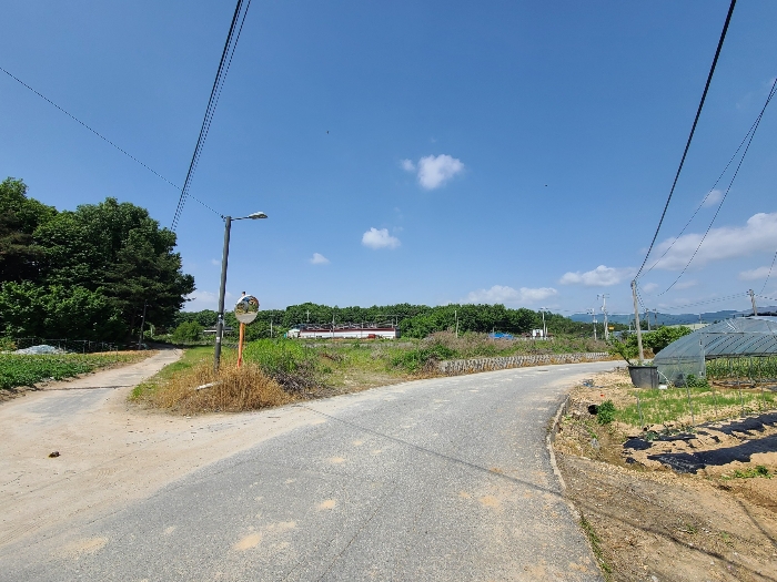 본건 동측 도로변