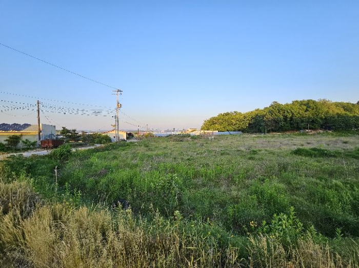 제시 목록 전경(분할, 좌측) 