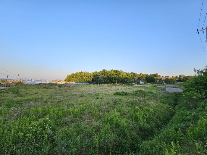 제시 목록 전경(분할, 우측)