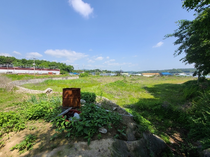 본건 토지 전경