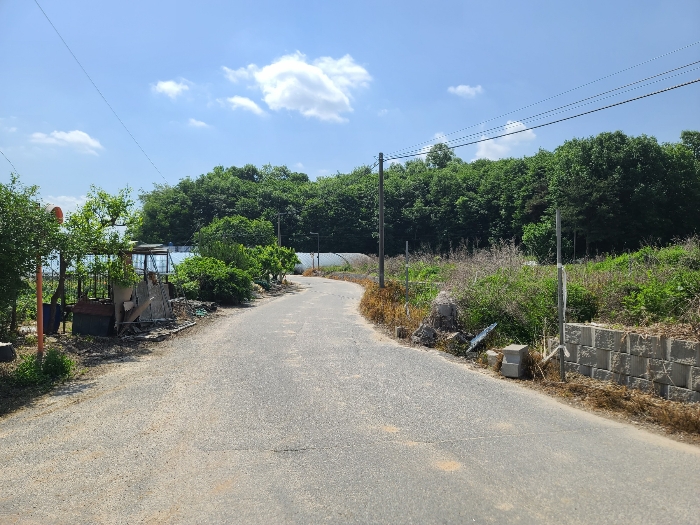 본건 북동측 도로변