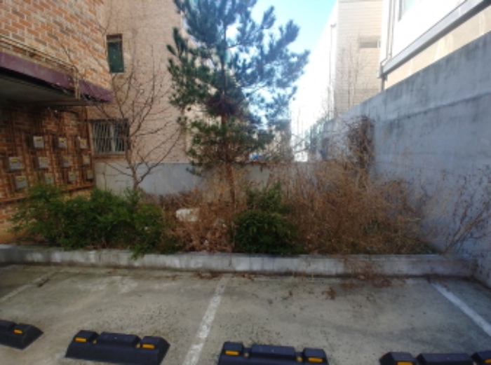 1층 화단(제시외 소나무 등) 및 주차장