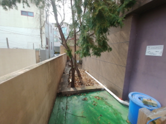 제시외 화단 및 수목 (1)