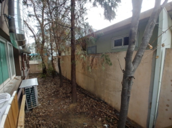 제시외 화단 및 수목 (2)