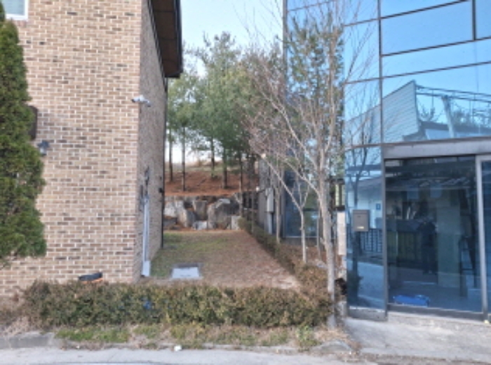 제시외 수목 모습2