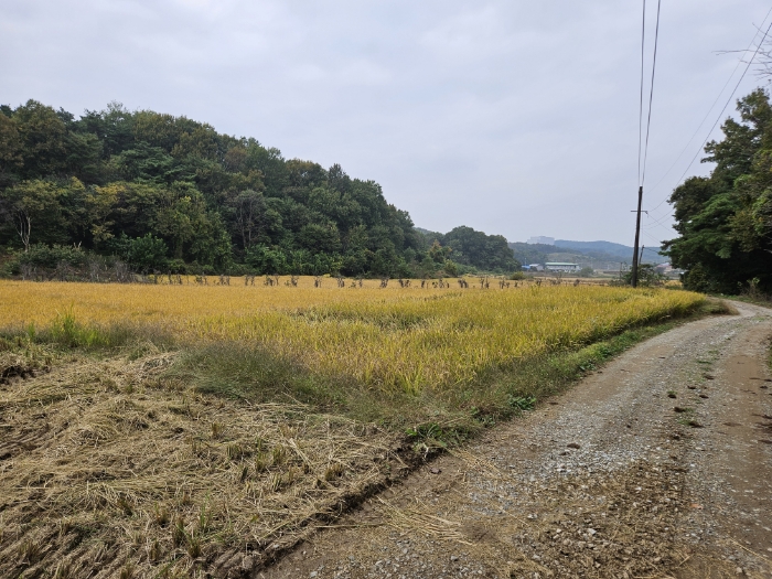 일련번호(1) 전경1