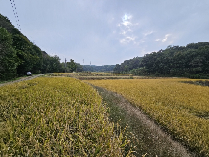 일련번호(2) 전경1