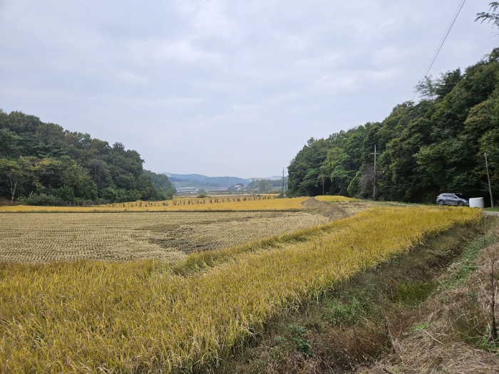 일련번호(2) 전경3