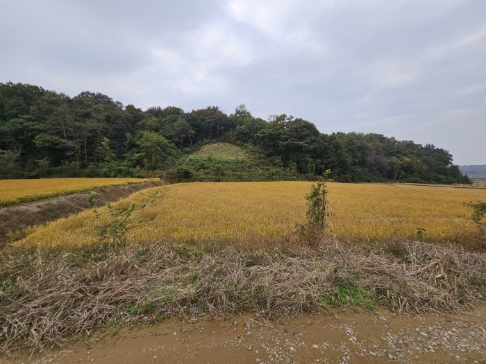 일련번호(3) 전경2