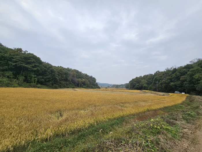 일련번호(3) 전경3-0