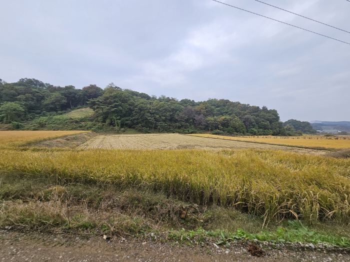 일련번호(3) 전경5