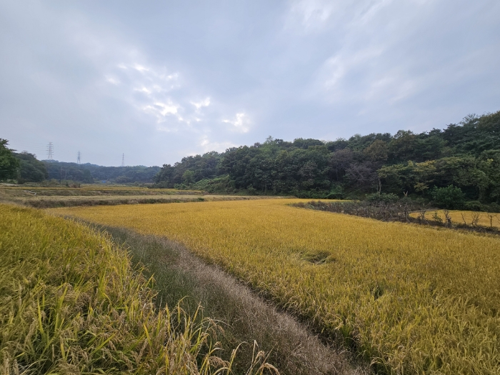 일련번호(3) 전경7