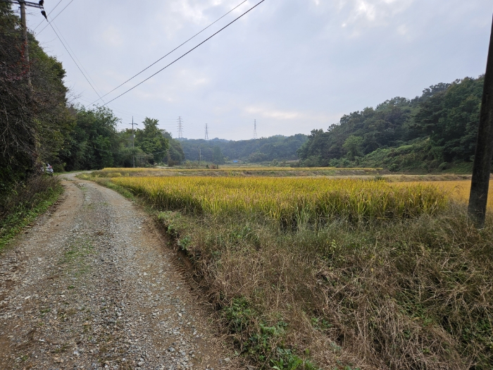 일련번호(1) 전경2