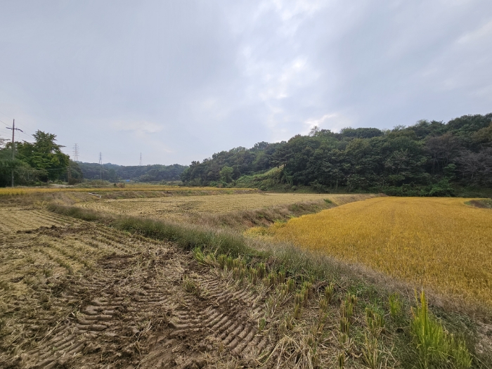 일련번호(2) 전경2