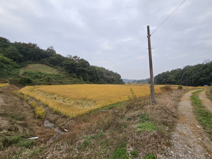 일련번호(3) 전경1