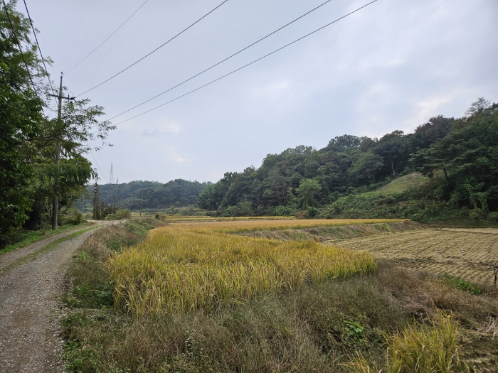 일련번호(3) 전경3