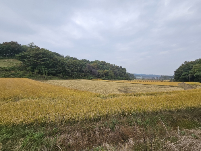 일련번호(3) 전경4