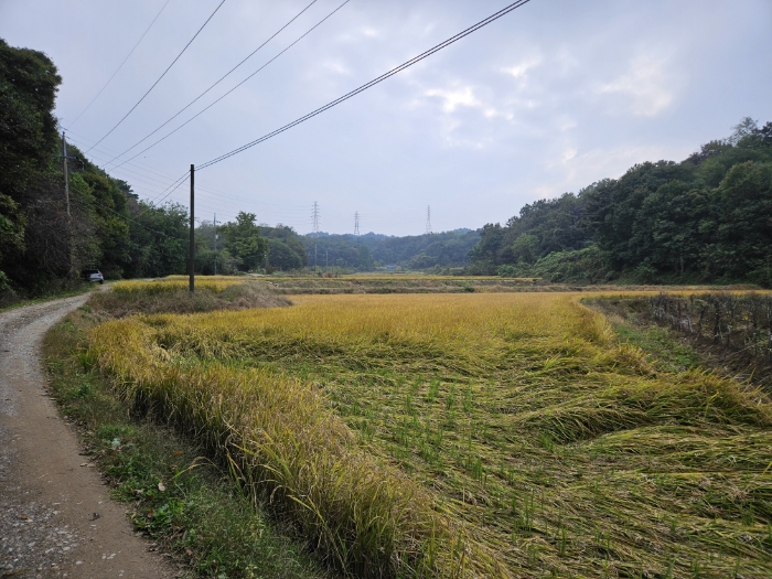 일련번호(3) 전경6