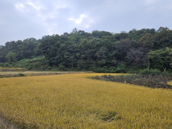 일련번호(3) 전경8