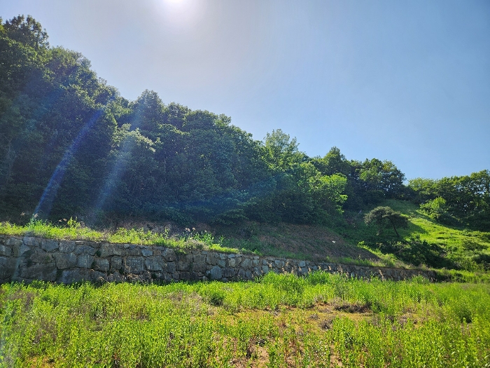 기호(2,3,11)토지