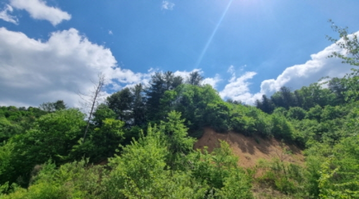 목록 5. 토지 원경