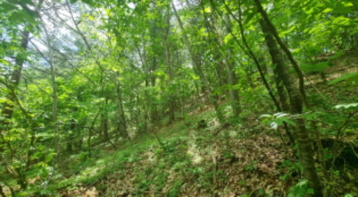 목록 5. 토지 내부