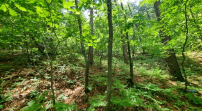 목록 5. 토지 내부