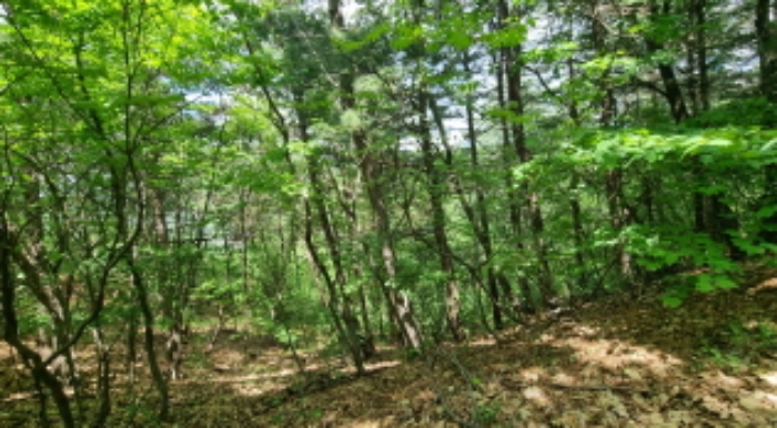 목록 5. 토지 내부