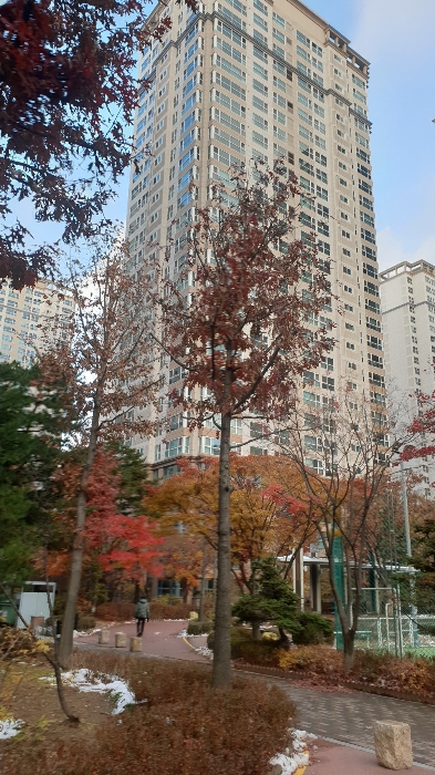 본건 소재 동 전경