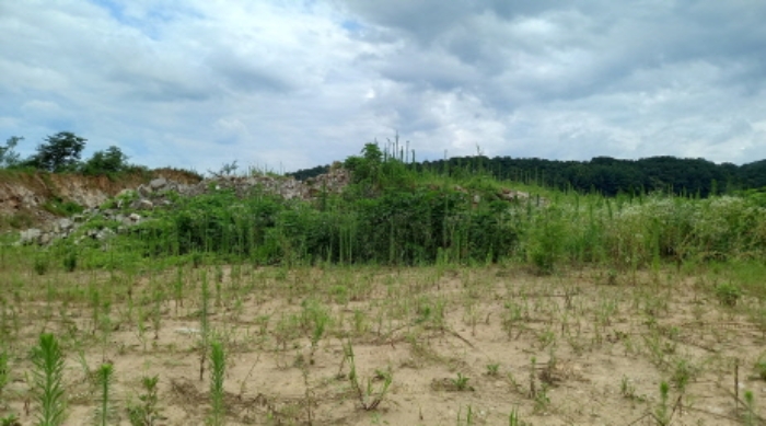 목록 2. 토지, 목록 5. 토지, 목록 6. 토지 전경