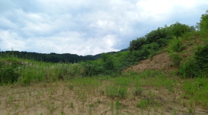 목록 2. 토지, 목록 5. 토지, 목록 6. 토지 전경