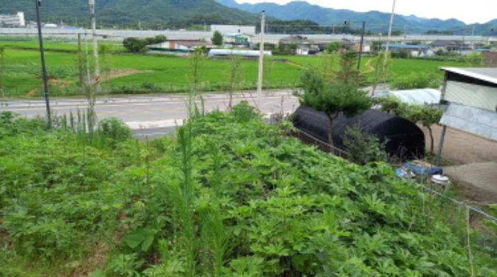 목록 3. 토지, 목록 4. 토지 전경