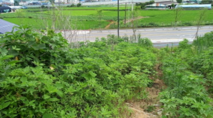 목록 3. 토지, 목록 4. 토지 전경