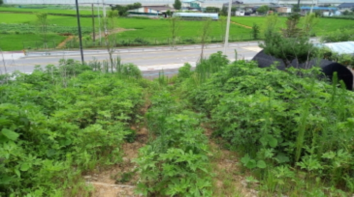 목록 3. 토지, 목록 4. 토지 전경