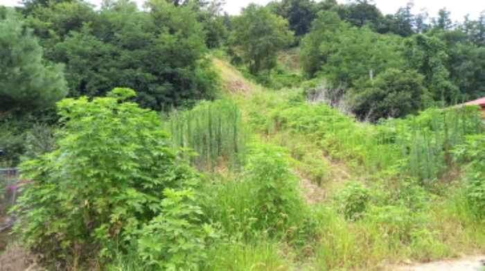 목록 3. 토지, 목록 4. 토지 전경